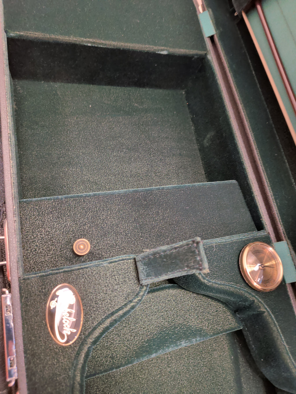 Franz Sandner 4/4 (Full-size) Professional Violin w/ beautiful Bobelock case (black on outside, green velvet inside