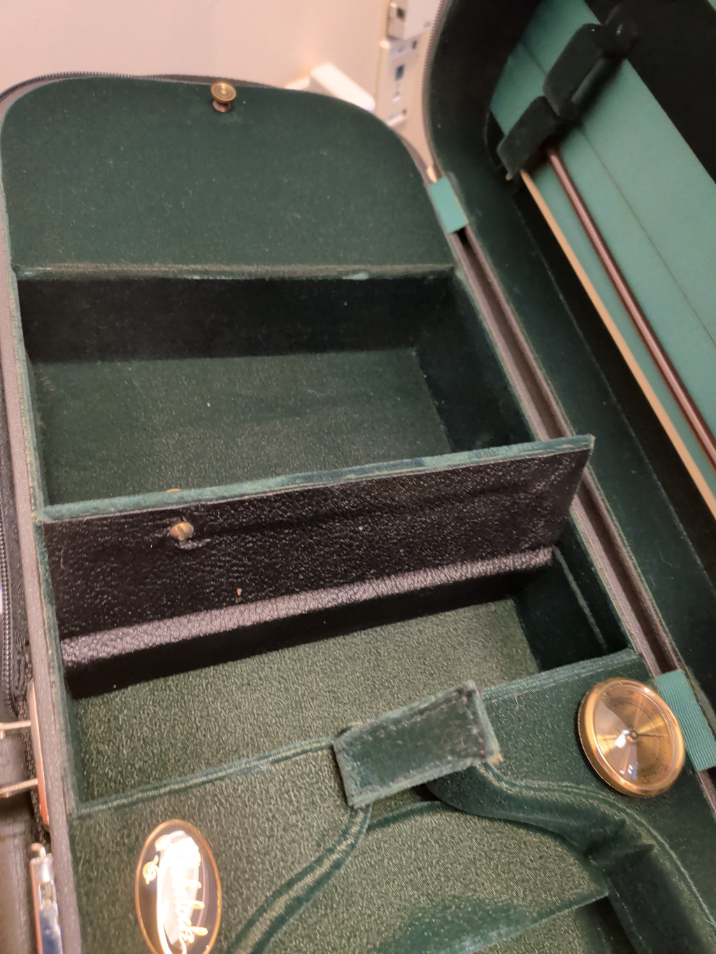 Franz Sandner 4/4 (Full-size) Professional Violin w/ beautiful Bobelock case (black on outside, green velvet inside